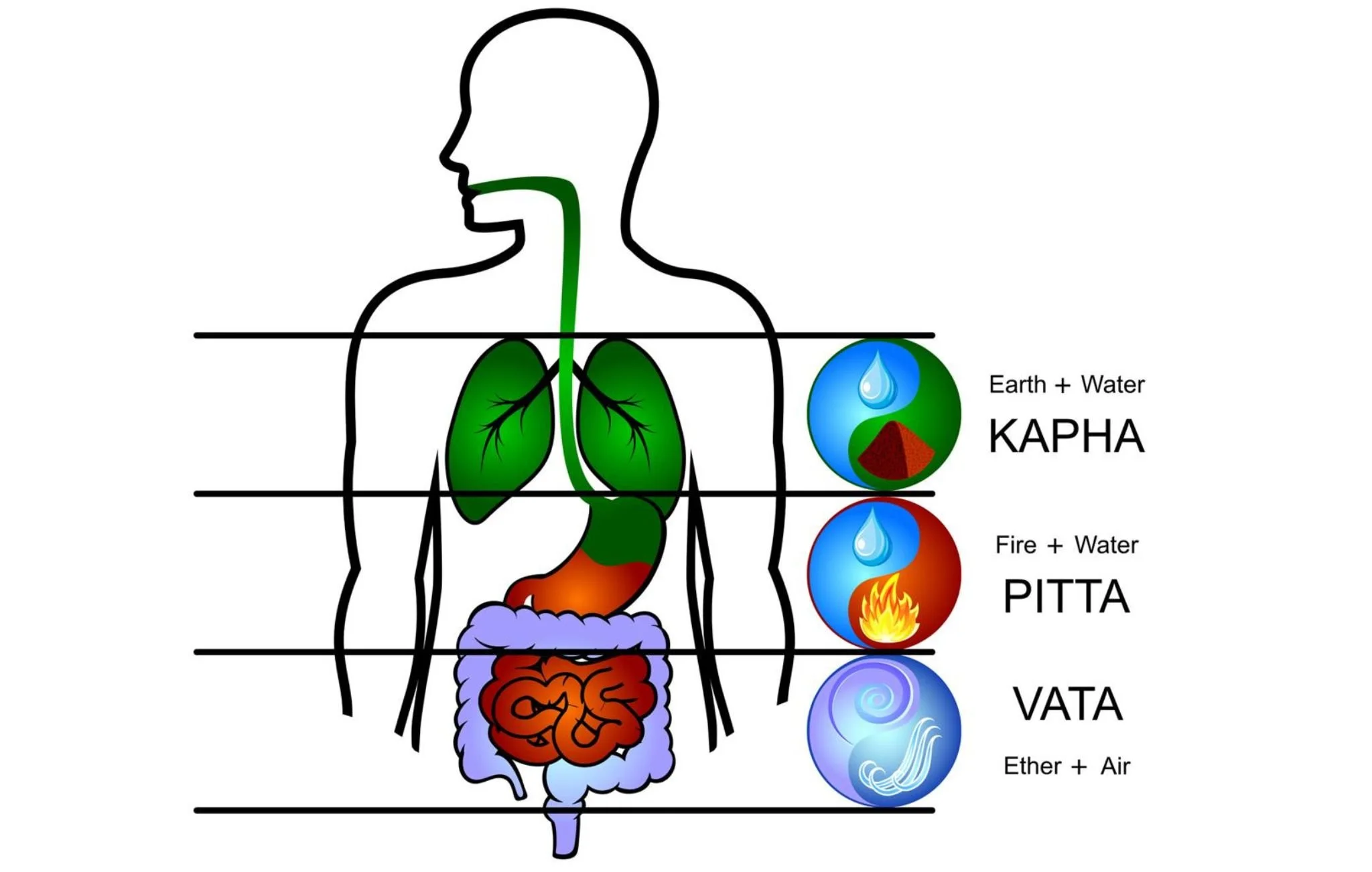 Top ten reasons to do an Ayurvedic group cleanse in spring.