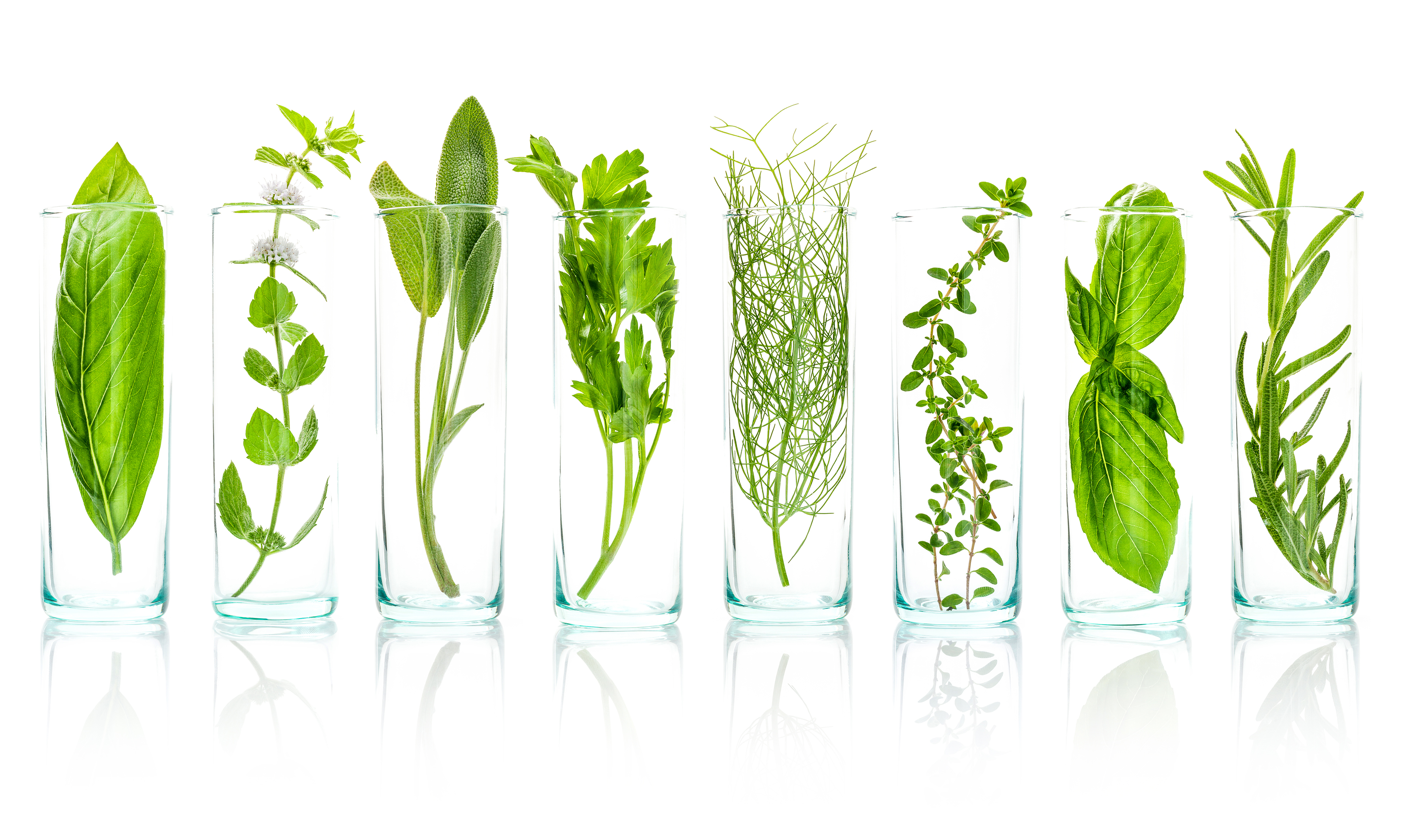 Ayurveda for June: heart season, hydration, and how to keep the liver clear